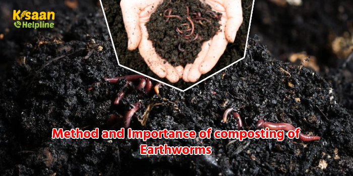 Method and importance of composting of earthworms